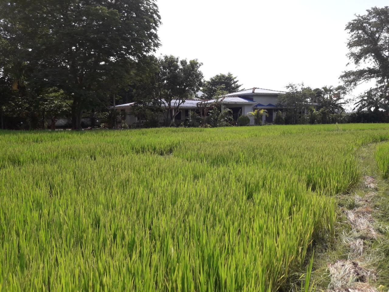 Hansika Guest Inn Buttala Exterior foto
